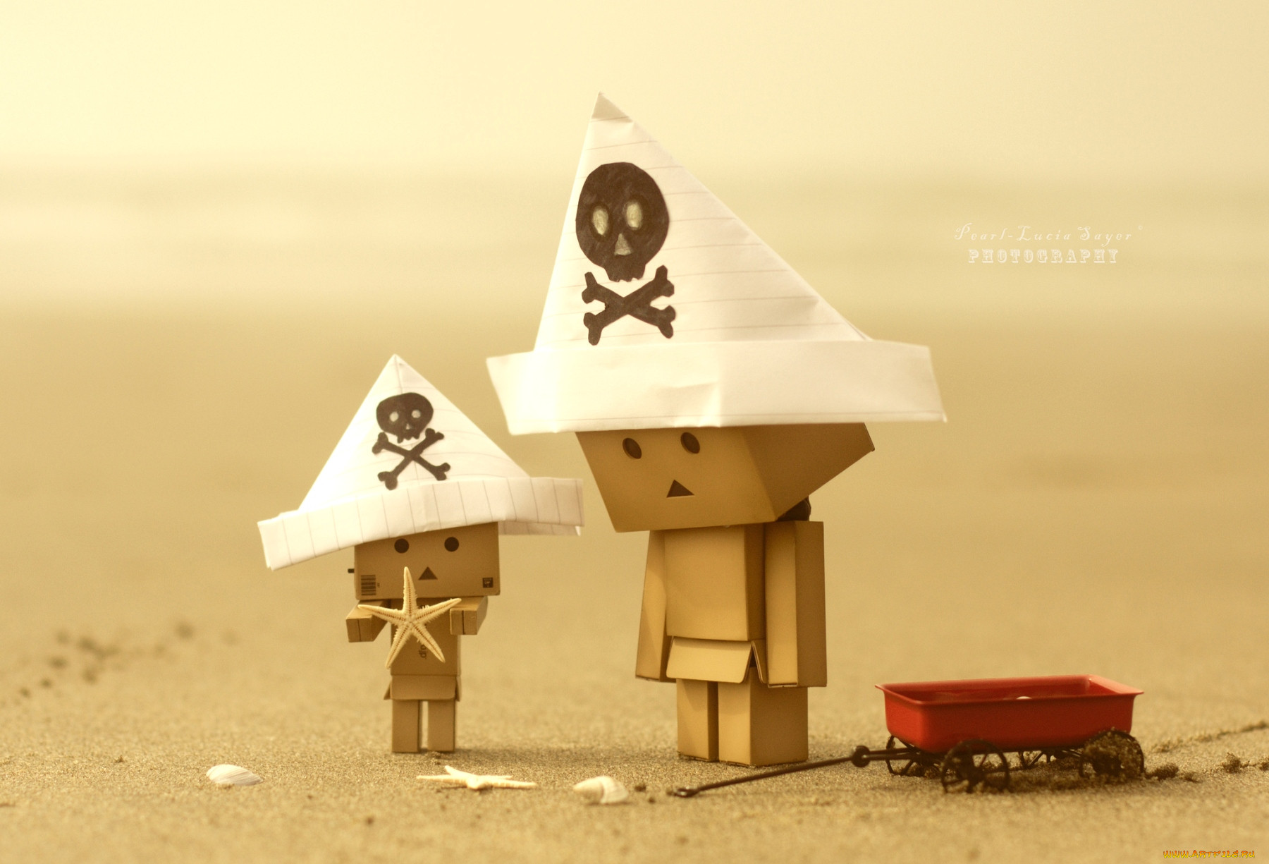 , , danboard, , , , 